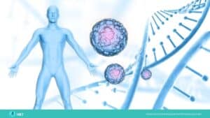 Tube en silicone pour Fast Penis Extenseur PRO